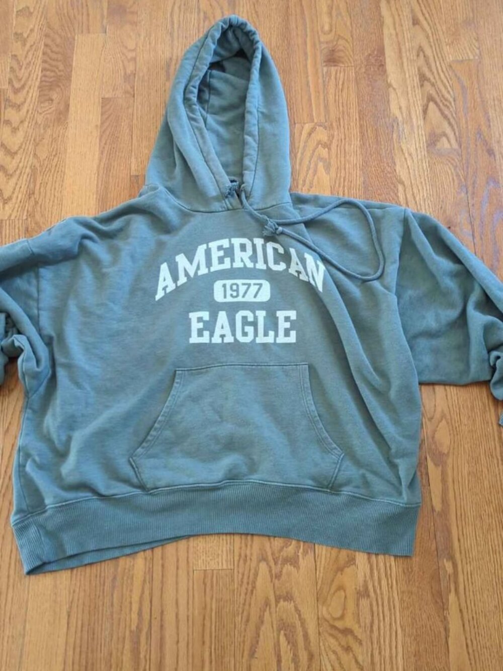 American eagle size medium hoodie